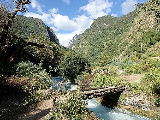 “最新病毒动态追踪”,最新病毒动态追踪，一场自然美景的探险之旅
